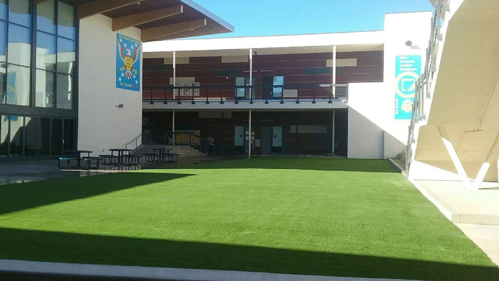 Save Pro Turf Image